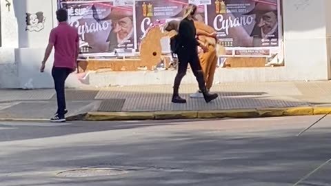 Golden Retriever Getting a Piggyback Ride Through the City