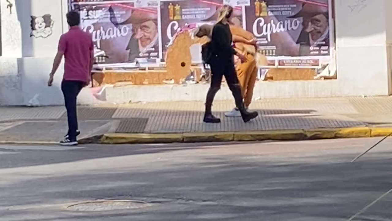 Golden Retriever Getting a Piggyback Ride Through the City