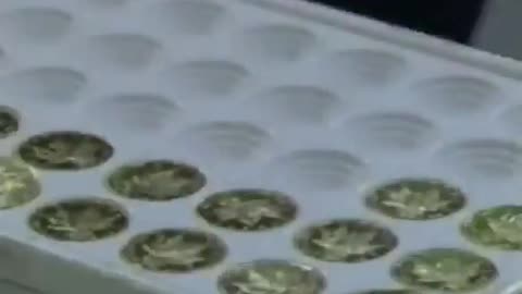 In 1999, a gold oz was about $300; now it is $4,534. All of this happens in full view of everyone.