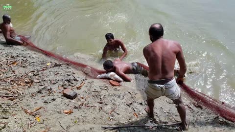 Monster Coral Fish catching by hand