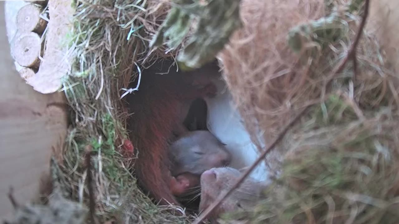 Kisses for mom 😘 🐿