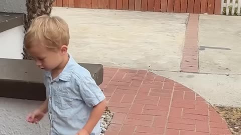 Toddler K Drama #dadlife