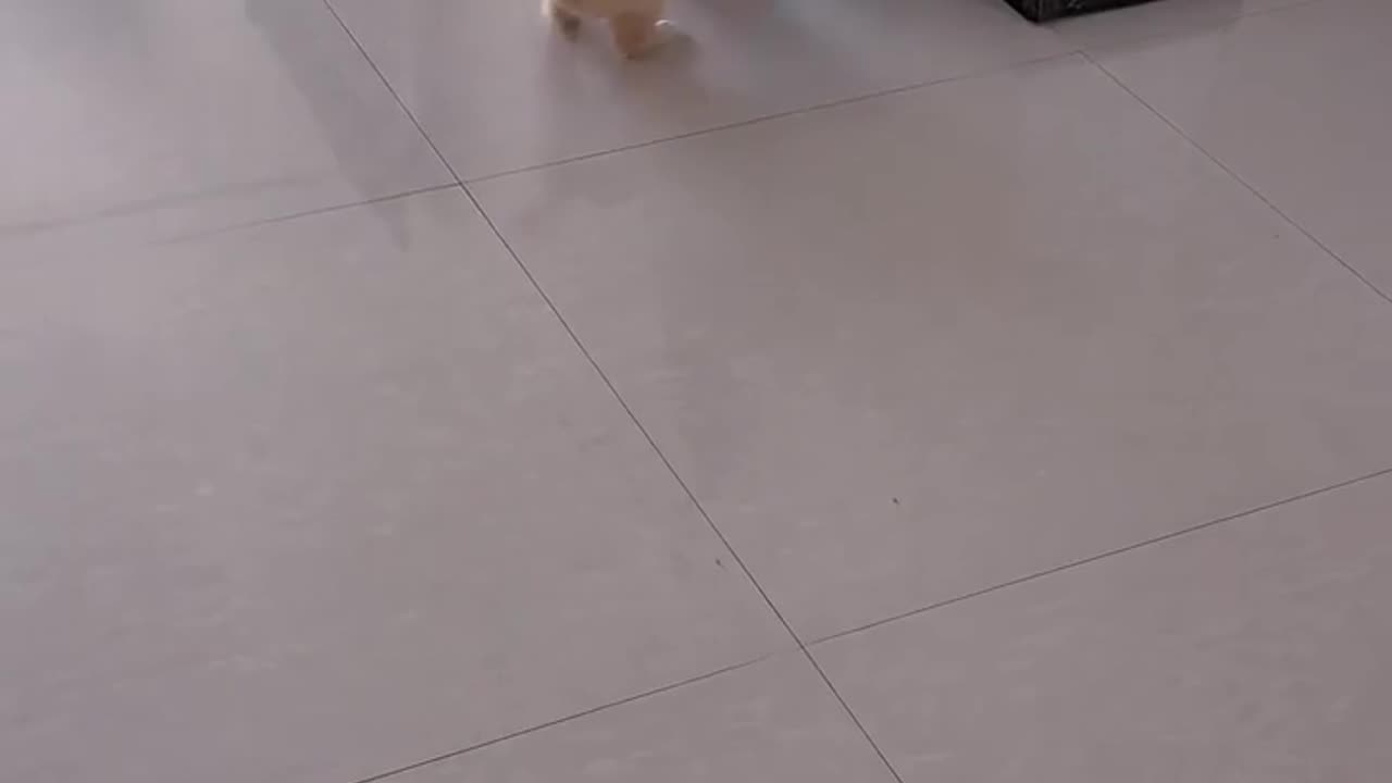 🤯👀 You Won't Be Able to Look Away from This! | FunFM