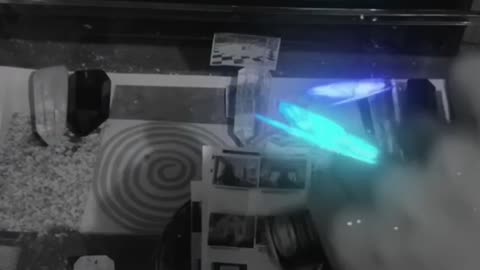 Tim Rifat TikTok Videos