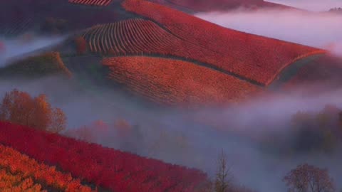 🙏✨ Oración Inspirada en las Lecturas de Hoy ✨🙏