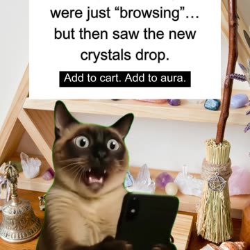 When you swore you were just “browsing”… but then saw the new crystals drop.