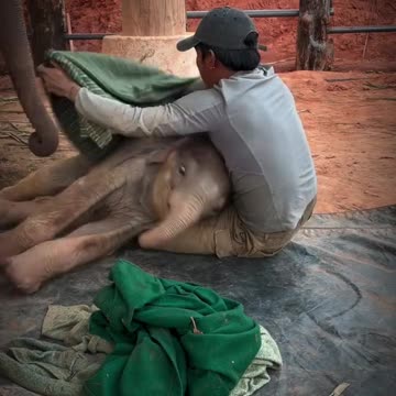 Brother from another mother