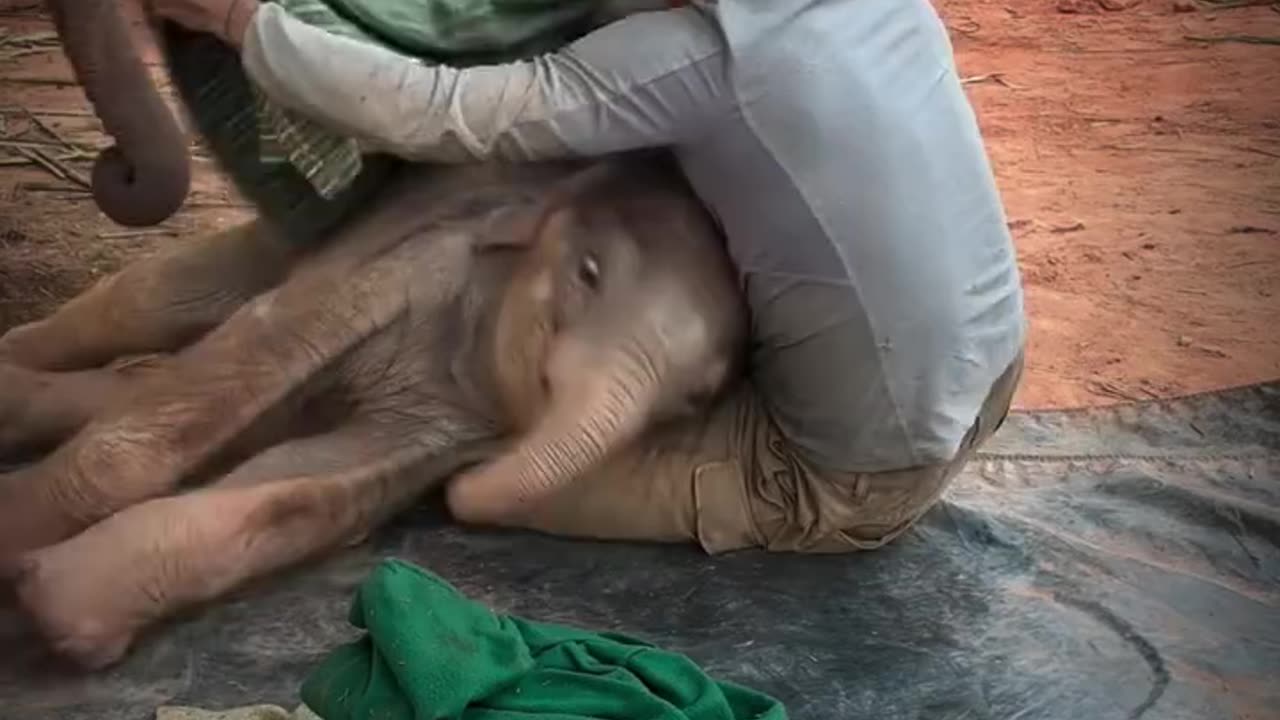 Brother from another mother