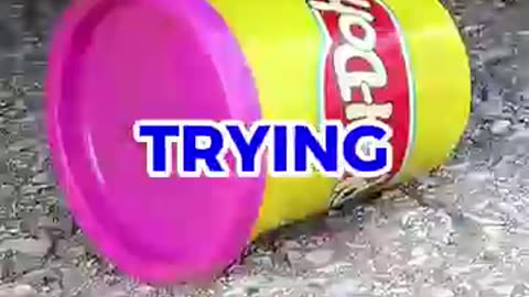 What's the grossest thing you've seen someone do in public? #atredit #shorts #viralshort #viral