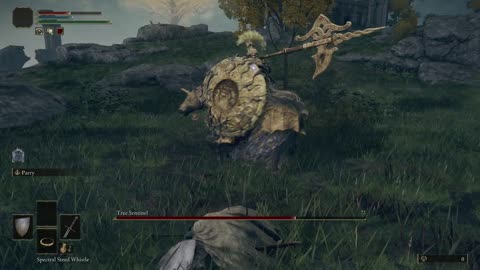 Elden Ring PC | Tree Sentinel solo on NG