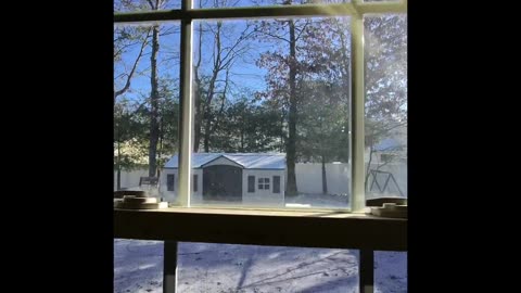 Whoa! New years Day!