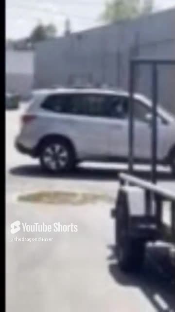 LANDSCAPERS GONE WILD