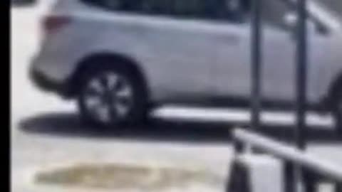 LANDSCAPERS GONE WILD