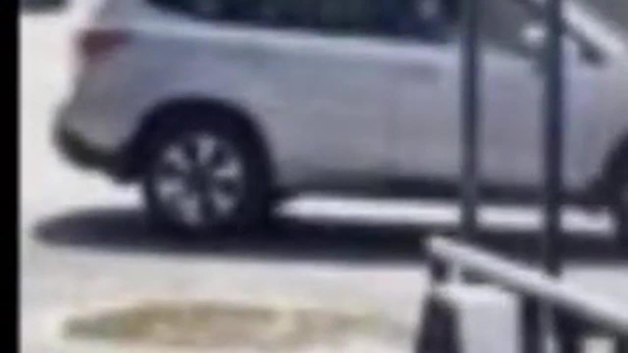 LANDSCAPERS GONE WILD