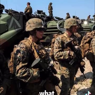 The war dogs just arrived in Los Angeles be aware if you are a criminal burning stealing and anything else.