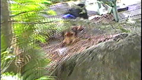 2001-NY-LakeTitus-1
