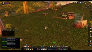 Turtle wow - The new server Ambershire - Paladin POV - Northwind new custom map