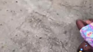 Watermelon Challenge