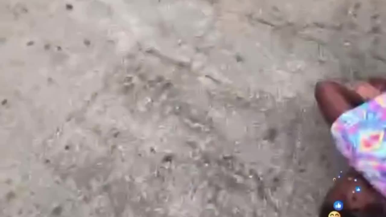 Watermelon Challenge