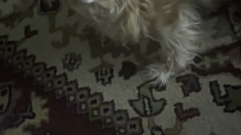 She still has some moves