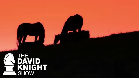 The David Knight Show BEST OF - 5/08/2025