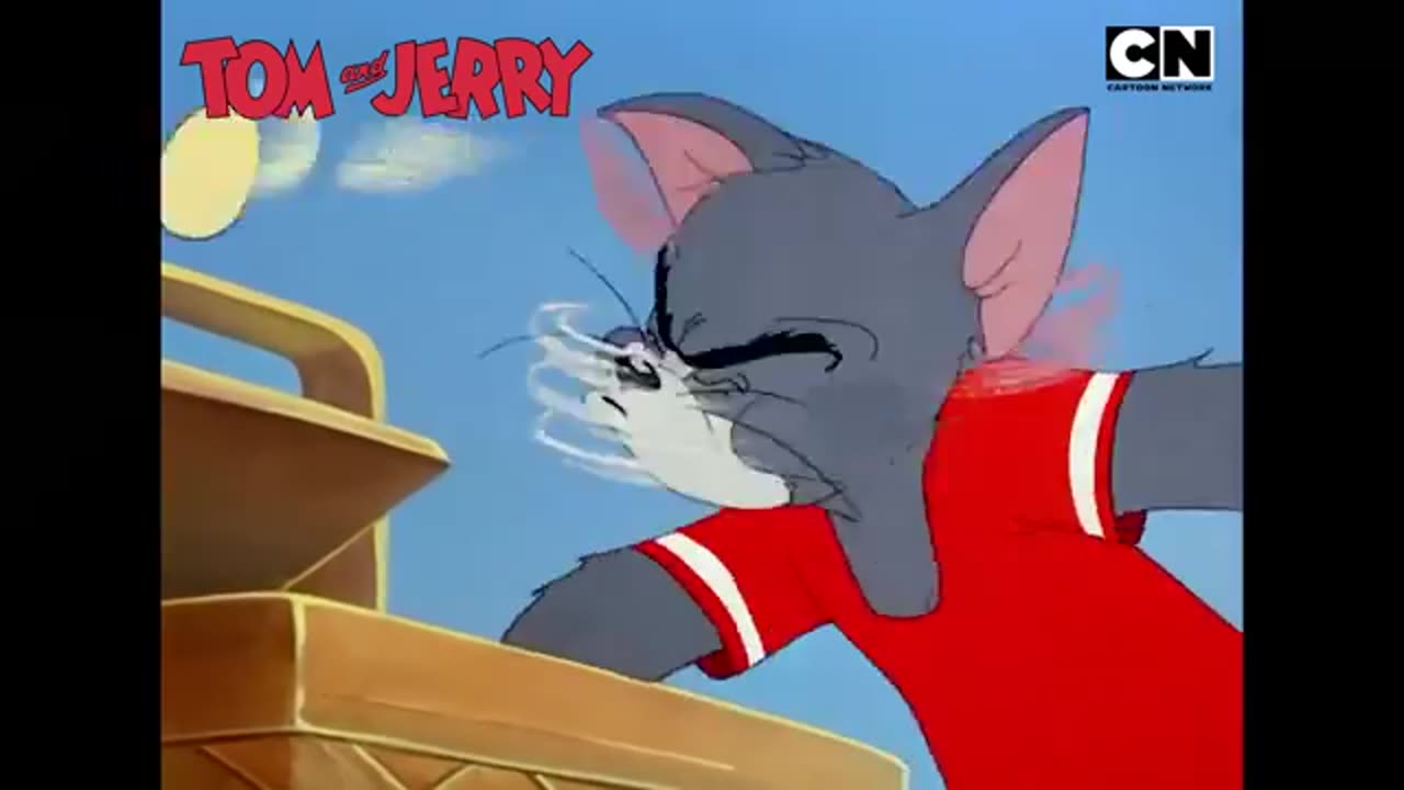 Tom and Jerry 😺🐭| One Cat. One Mouse. Infinite Chaos! | Cat And The Mouse 😆|