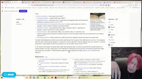 Live with Restream, November 03