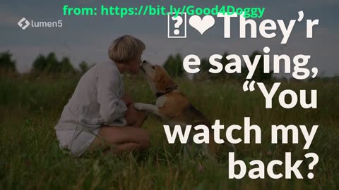 The Strangest Behavior You Never Noticed in Dogs — Experts STUNNED!