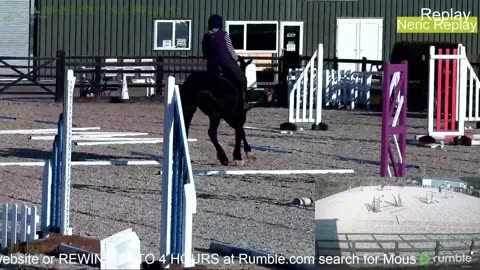 Mousehold Farm All Weather Riding arena