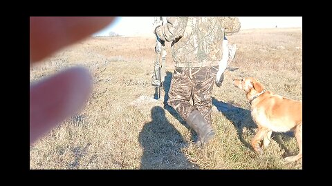 Gump, Finnegan, and I are hunting for ducks and geese. THANKSGIVING 2025