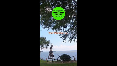 Your Vibration Is...