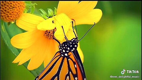 HELPING THOSE IN NEED - DAILY DEVOTIONAL ❤️