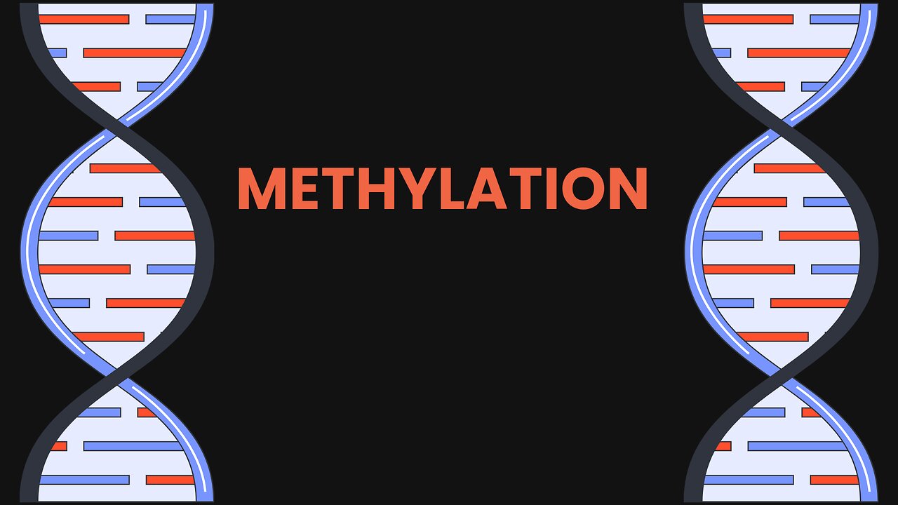Methylation Explained