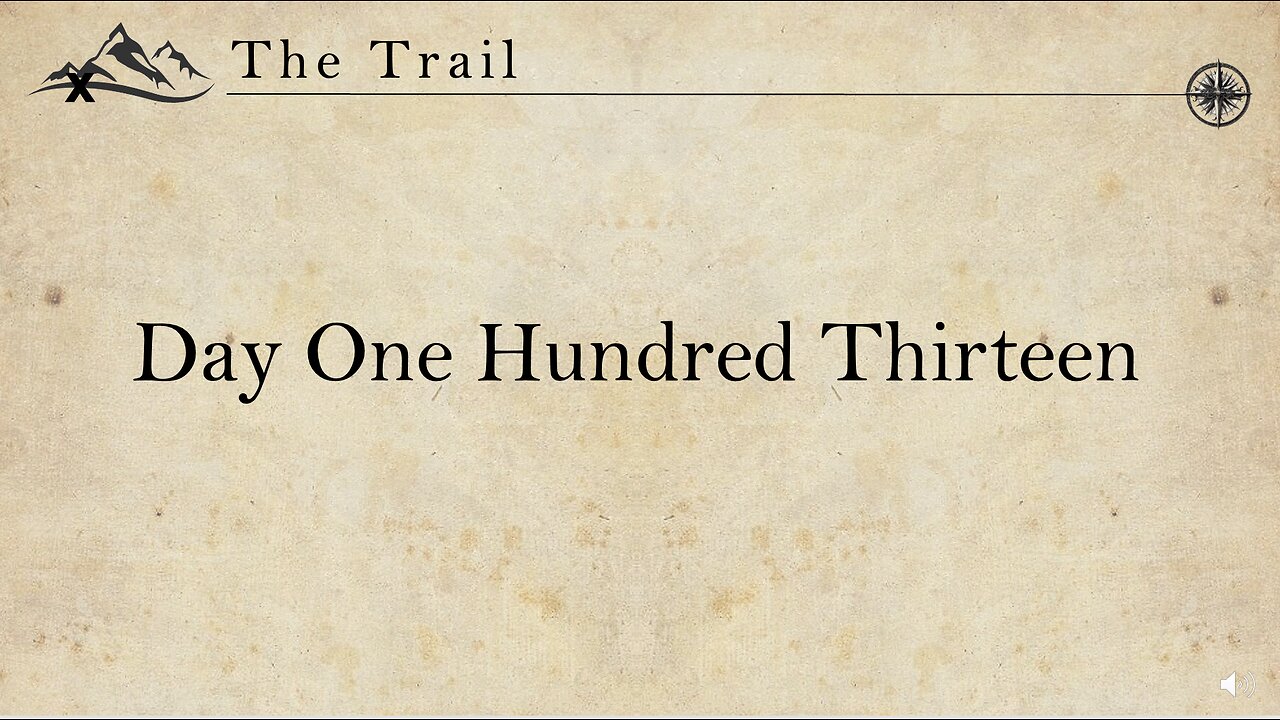 Day 113