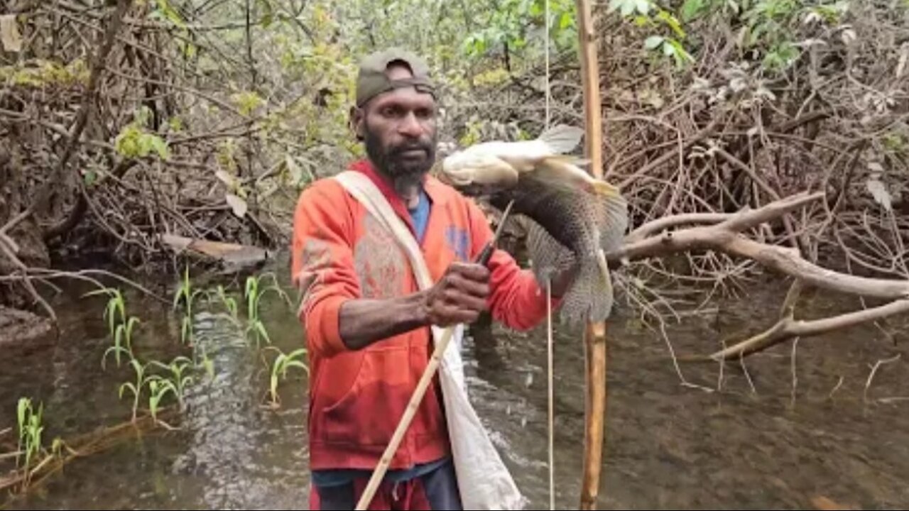 Fishing for gourami at a crocodile nest location