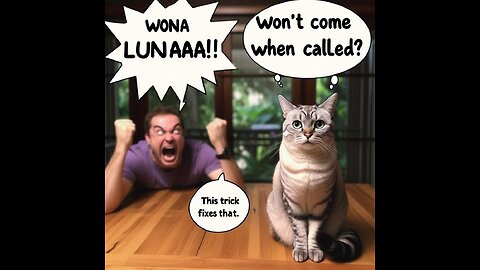 Cat Ignores You? Try This Recall Trick