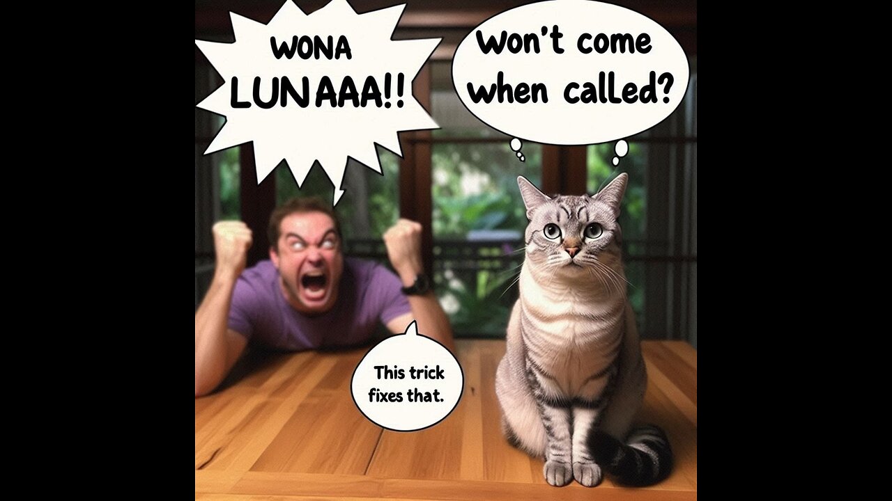 Cat Ignores You? Try This Recall Trick