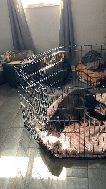 Motel Vaccine Truth Sleep