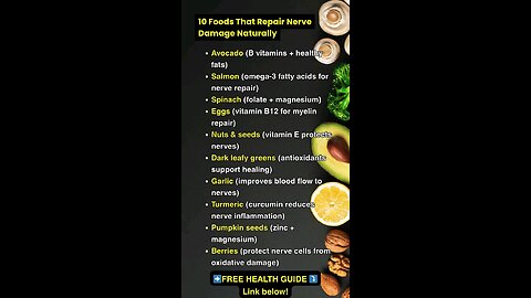 Top Foods That Help Repair Nerves | E7DIGITAL