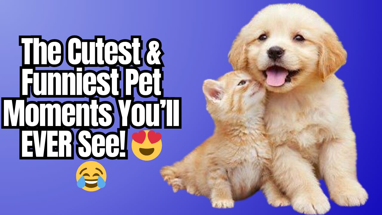 Try Not To Laugh or Say “Awww” Challenge! 😂🐾