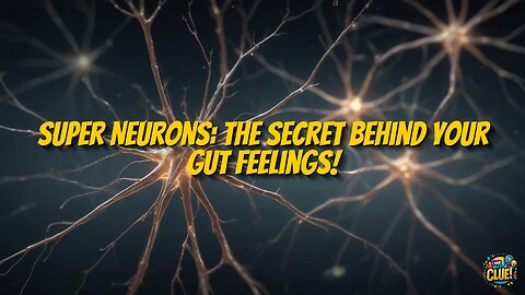 The Intricate Role of Spindle Neurons in Human Intuition