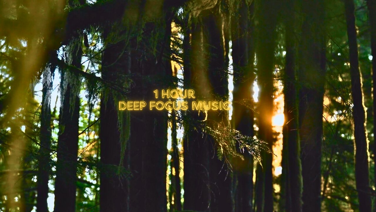 1 Hour of Calming Study Music | Deep Focus & Relaxation