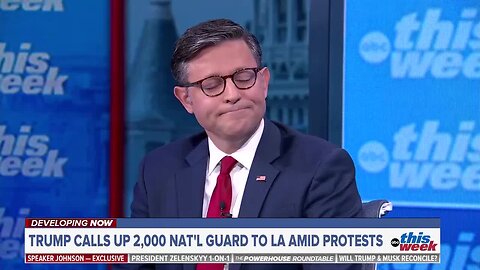 Speaker Johnson on Musk: I Didn’t Craft a Piece of Legislation to Please the Richest Man in the World