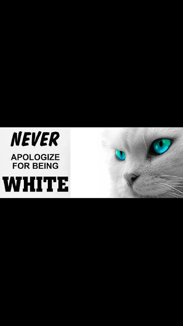 Words Are Weapons - You Have Been Programmed