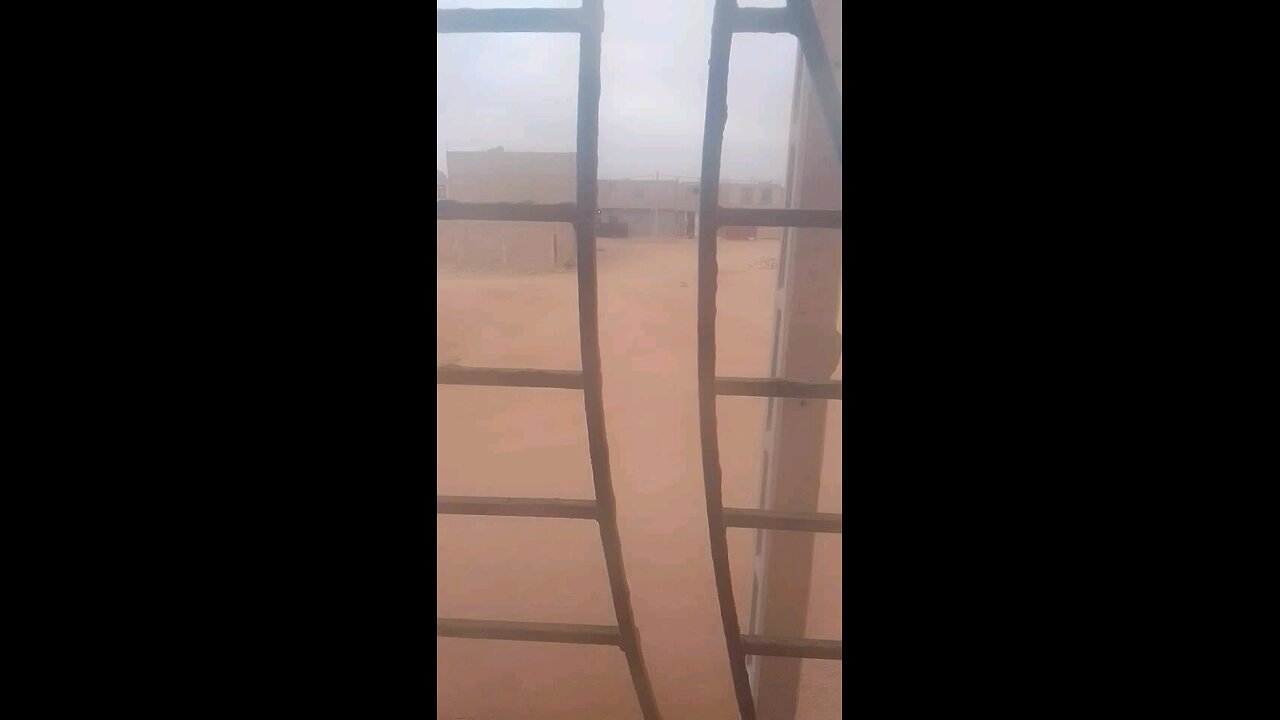 Video Trends