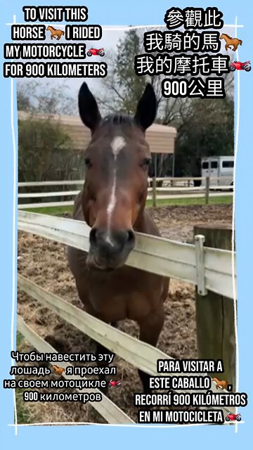 spreading love for our furry friends! #MotorcycleAdventure