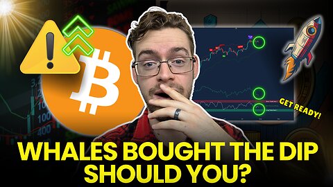 Whales Bought the Bitcoin Crash… But Is It Enough?