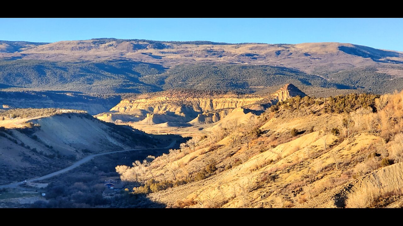 Survived the Blizzard