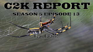 C2K Report S5 E13: Fear Factor!