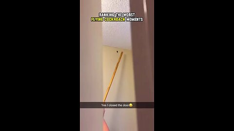 Ranking_The_Worst_Flying_Cockroach_Moments